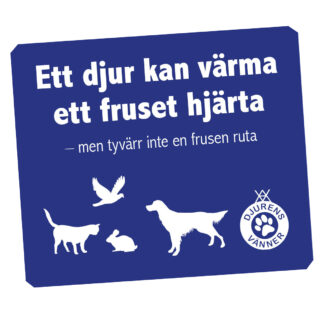 Isskrapor 10-pack
